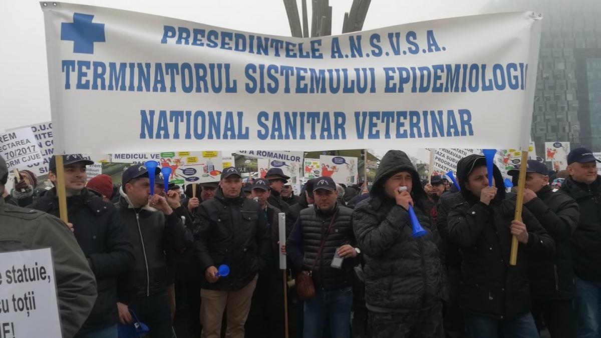 protest_veterinari_4_72853200