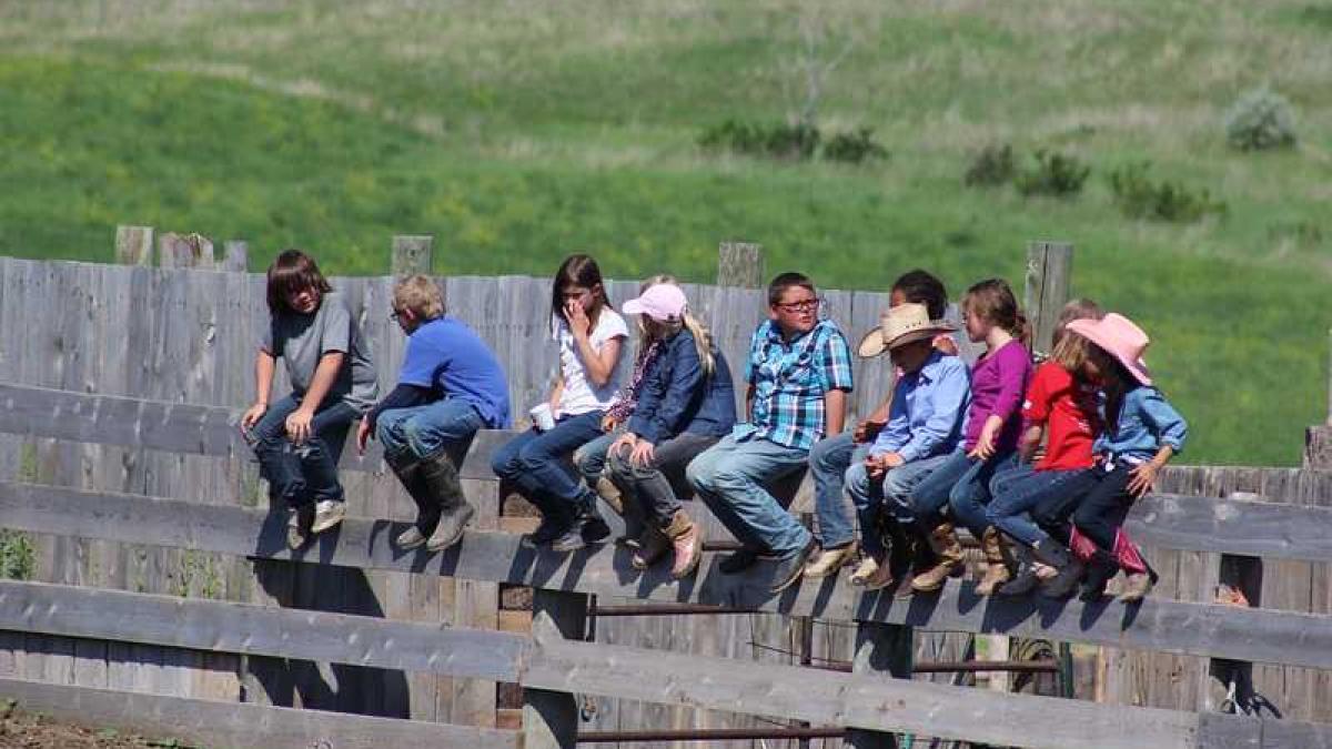 copii_vacanta_camp_25599800