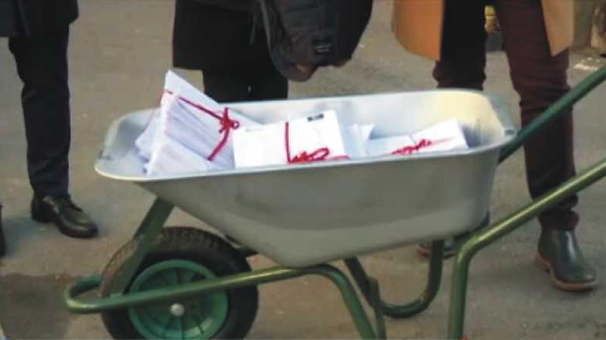 elevi_protesteee_39336600