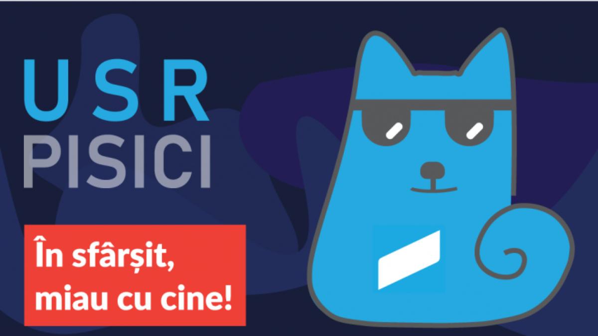 usr_pisici_60671500