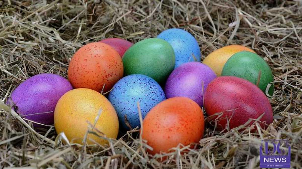 oua_pasti_paste_06_64433700