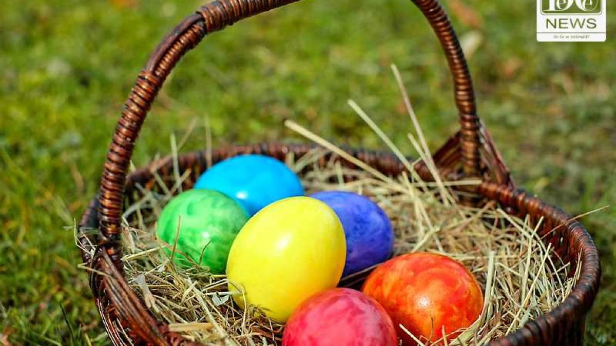 oua_paste_cosulet_29133300