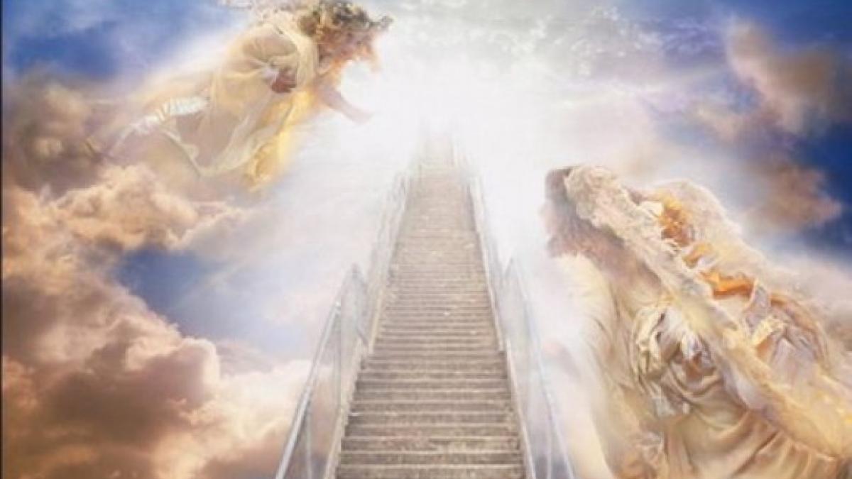 poarta_raiului_12177900