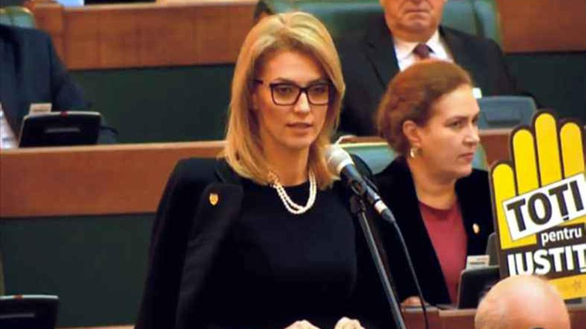 alina_gorghiu_senat_45592700