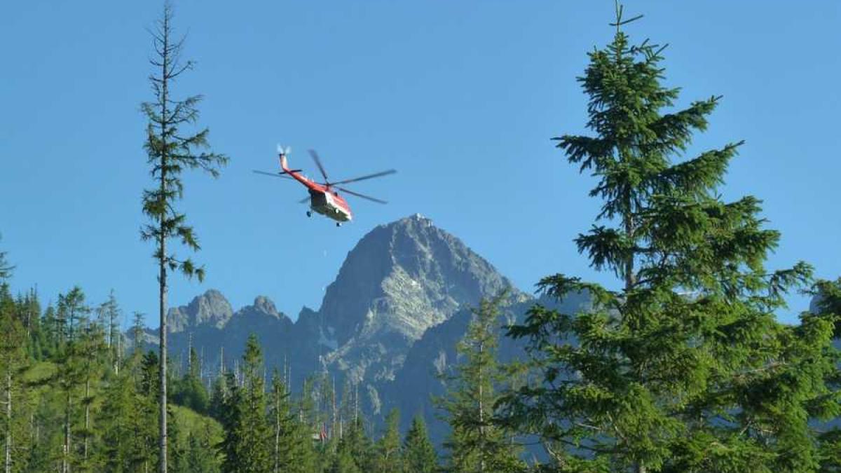 elicopter_munte_09923100