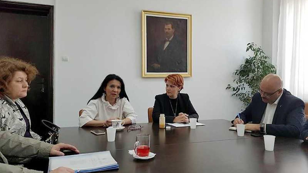 sanitas_pintea_olguta_84878700