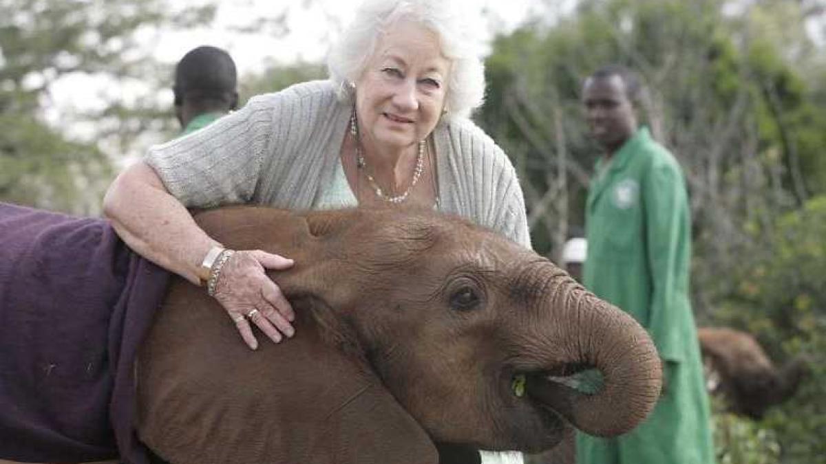 daphne_sheldrick_38267700