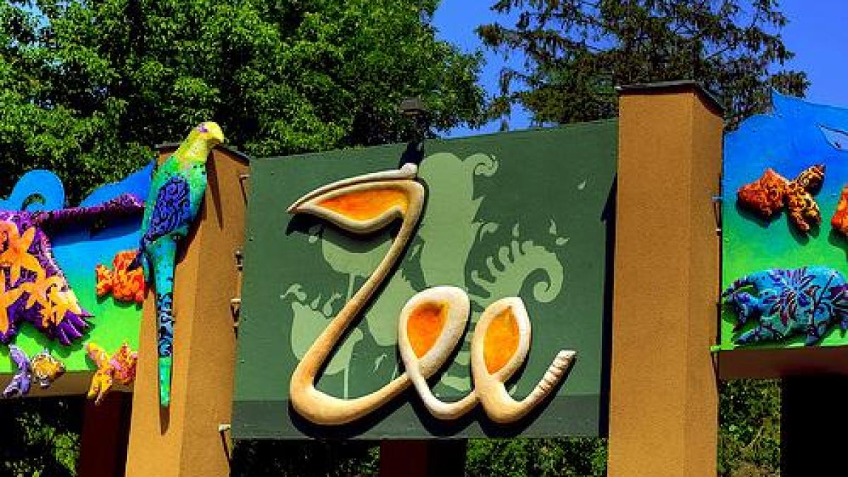 gradina_zoologica_zoo_bucuresti_29166400
