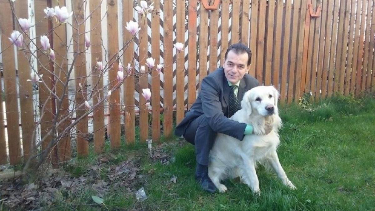 ludovic_orban_49200000