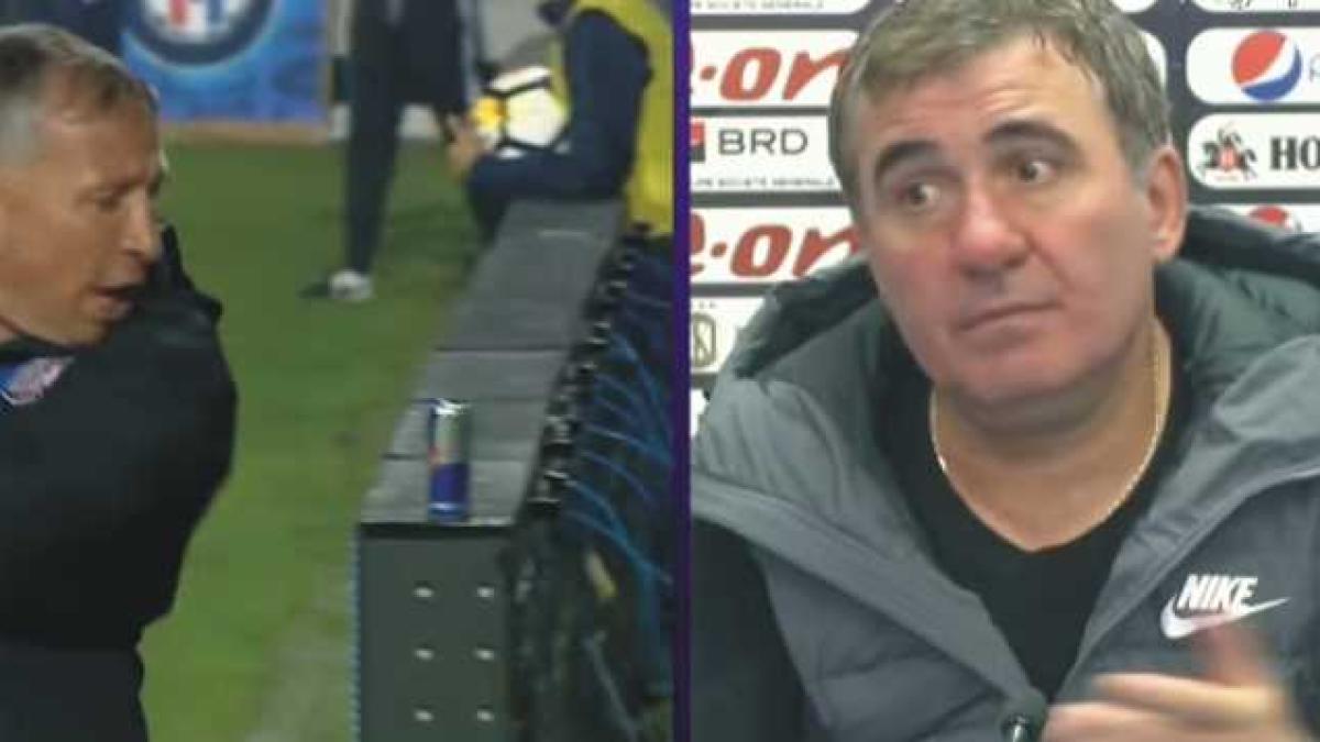 hagi_petrescu_12226400