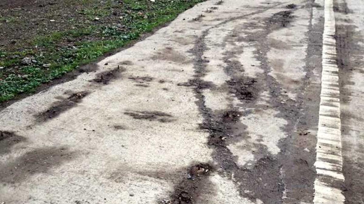 parcare_furata_87832800