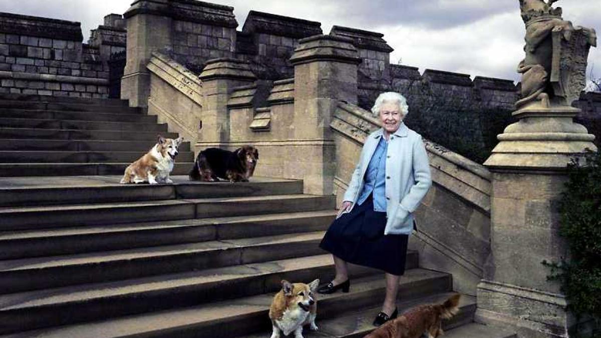 regina_elisabeth_caini_64064800