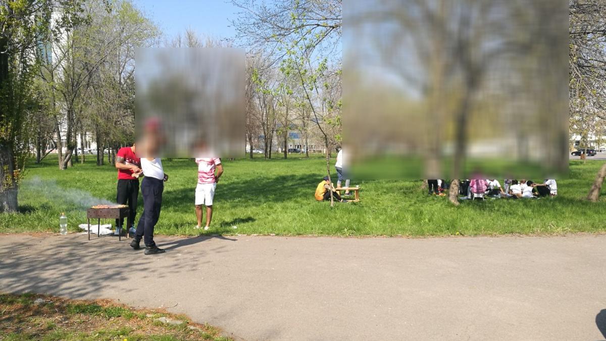 constanta_picnic_parc_61559000