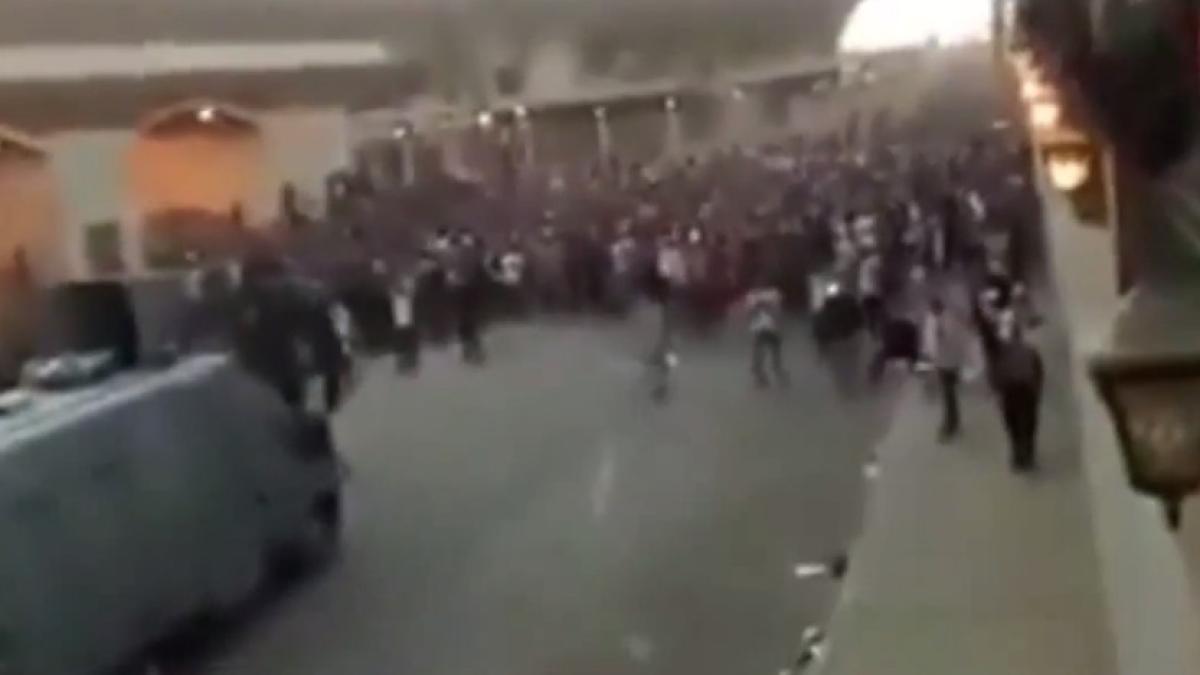 egipt_suporteri_86191300