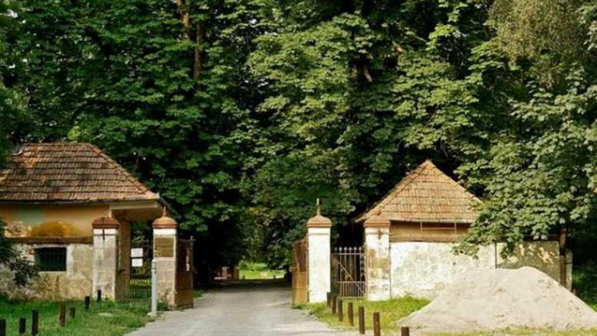 tinutul_conacelor_cv_70142100