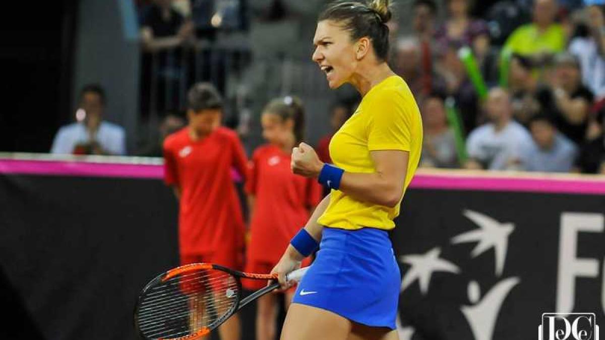 halep_cluj_primaria_03_37215700