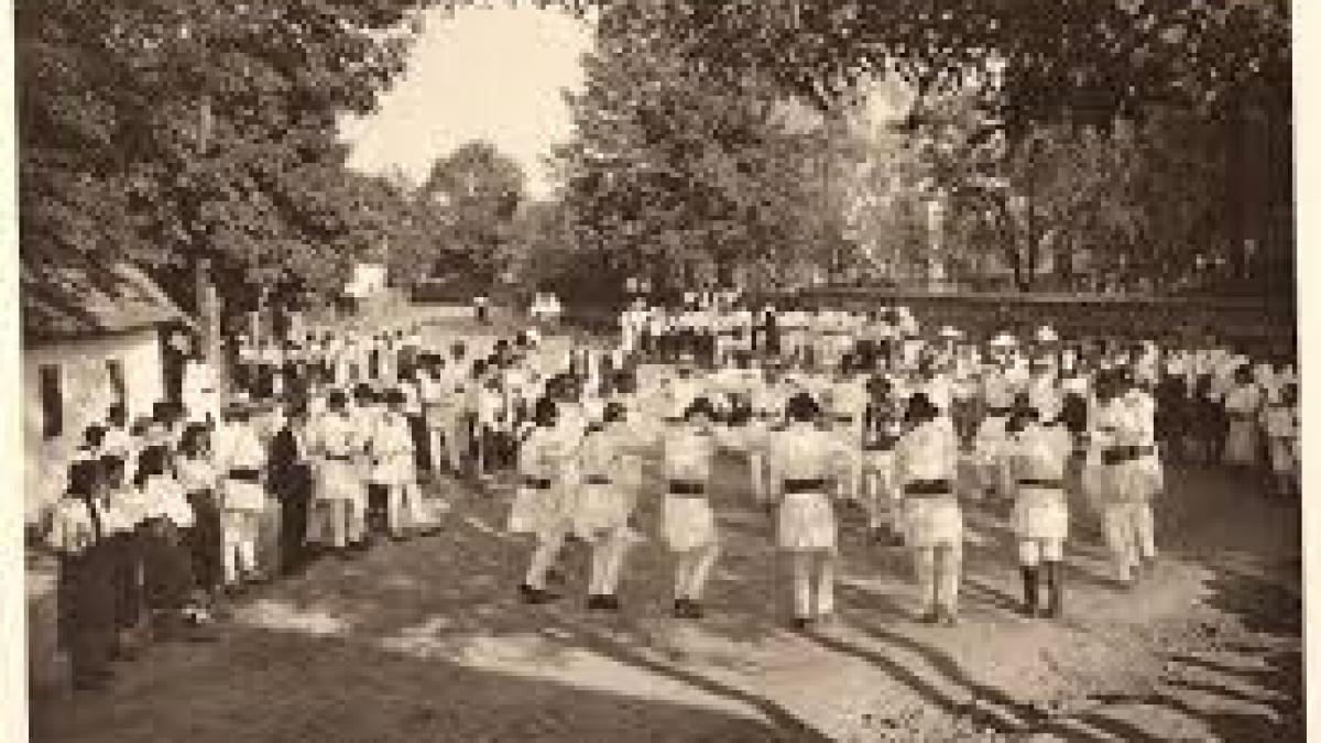 petrecere_armindeni_1mai_37230700