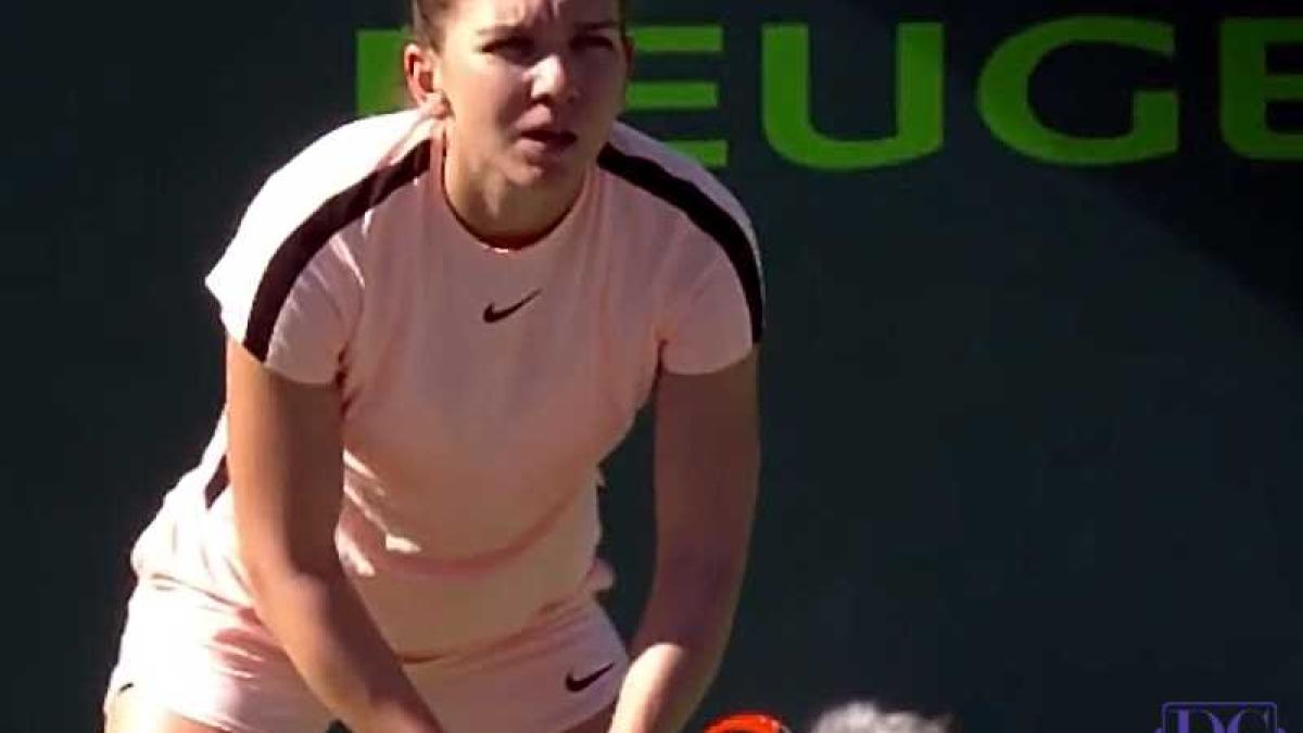 simona_halep_privire_11152400