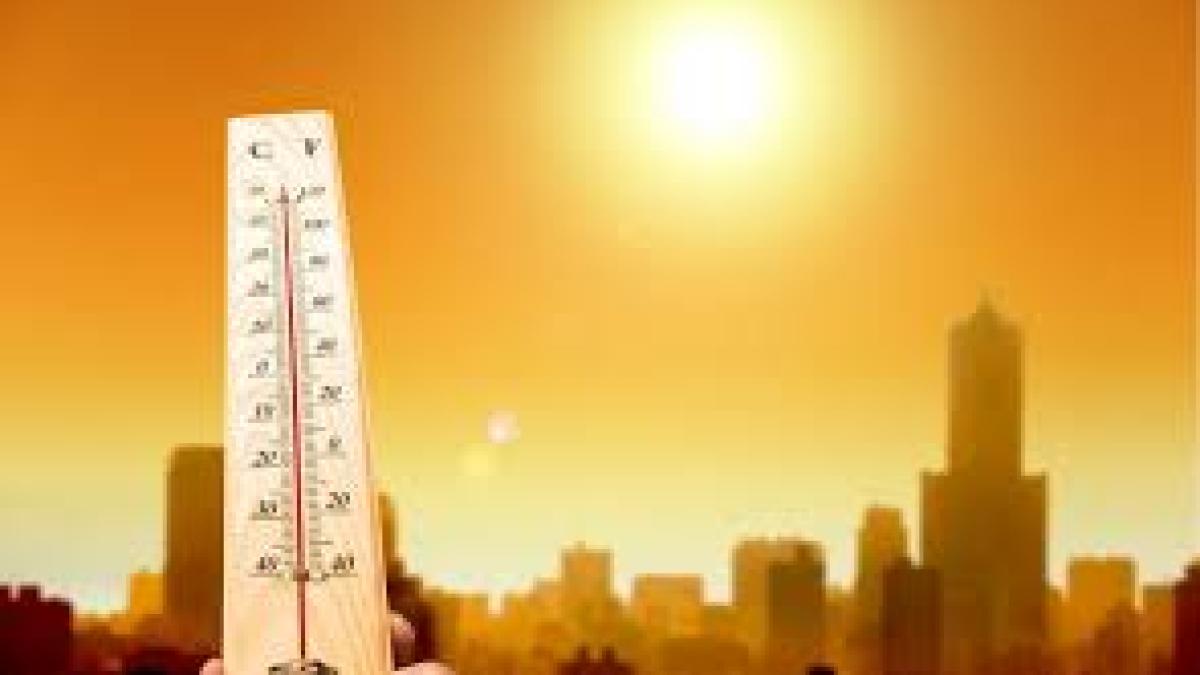 diopxid_de_carbon_81195300