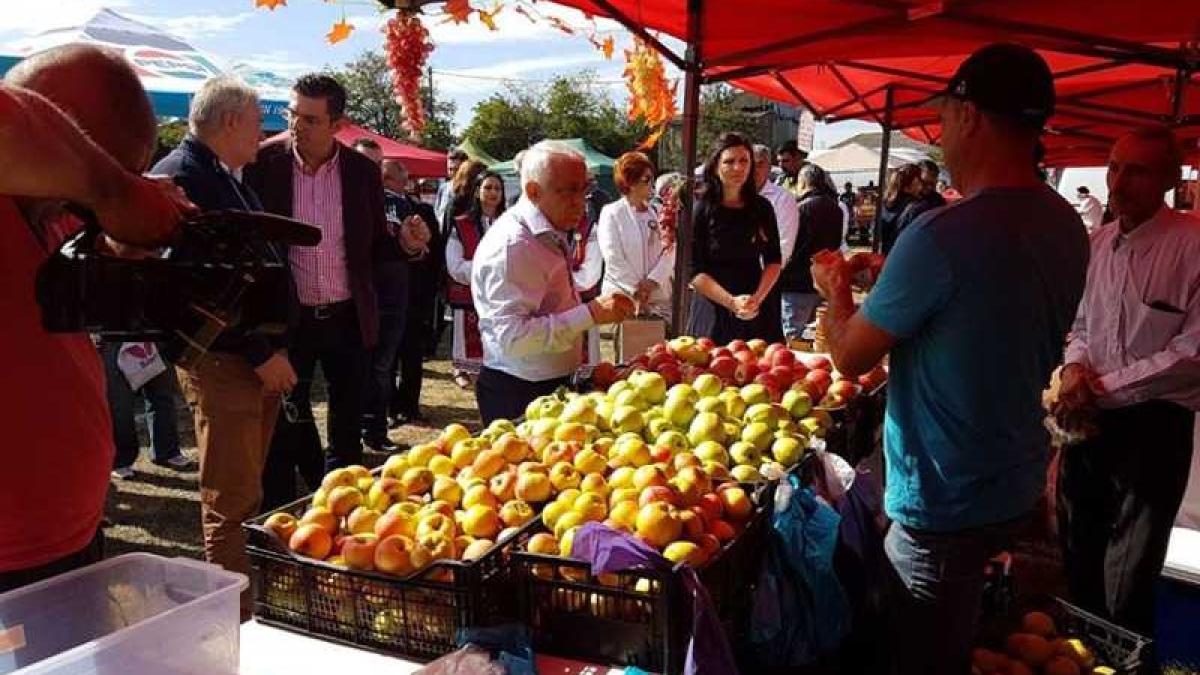 petre_daea_targ_01_10793900