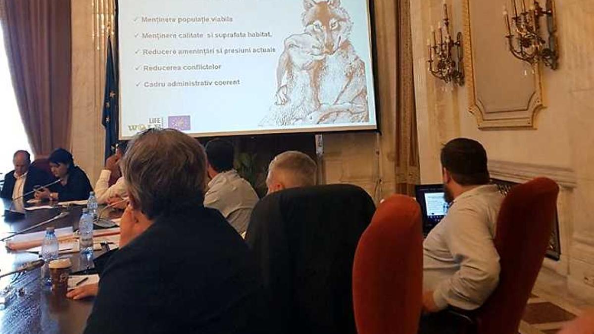 afis_lup_oaie_dezbatere_79848100