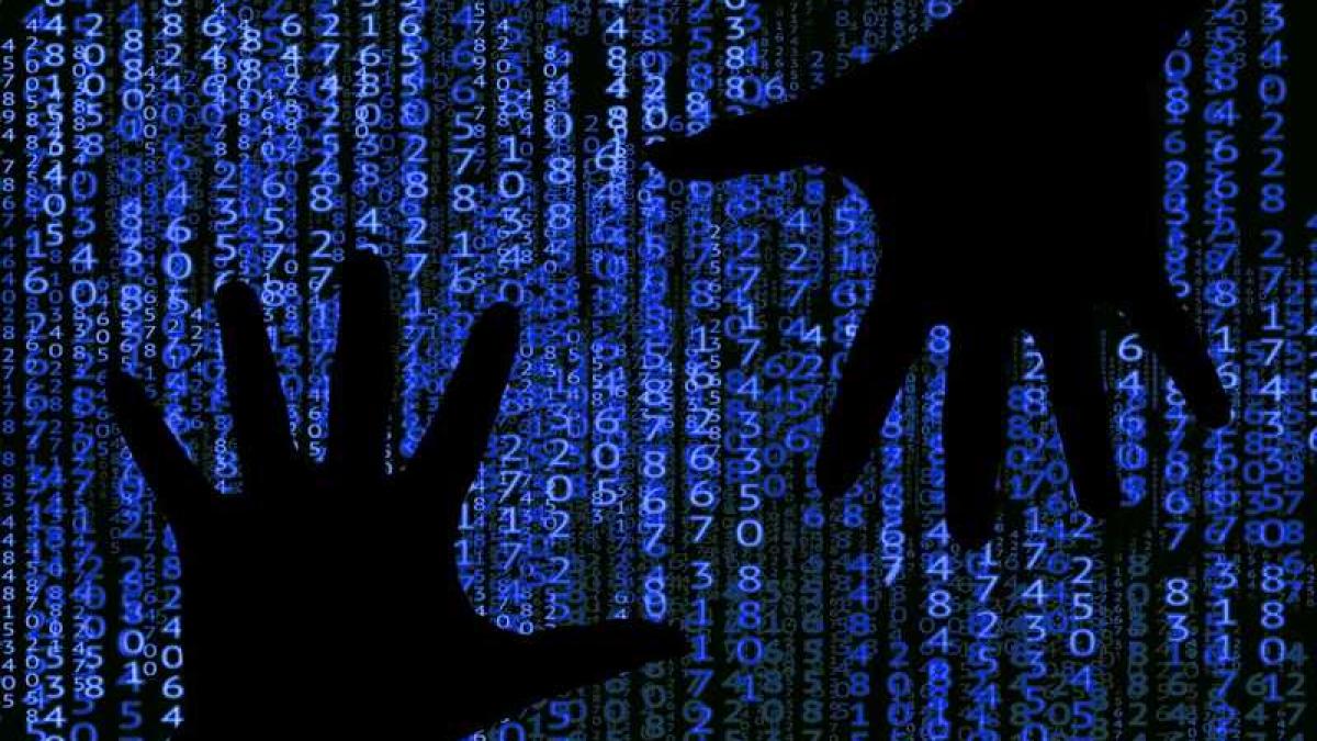 date_personale_tech_17811800