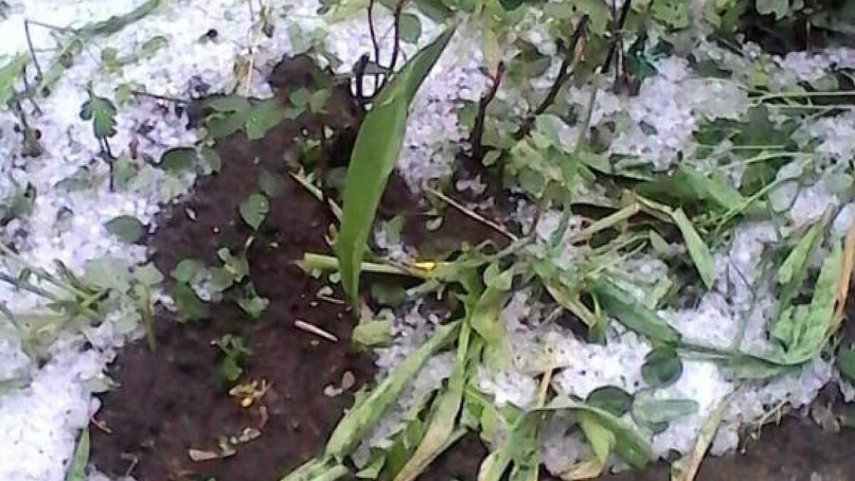 ploaie_prapad_fagaras_08039600