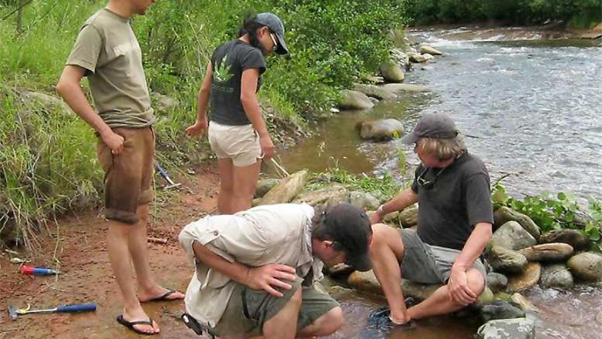 mamifer_descoperit_la_geoparc_univ_18416400