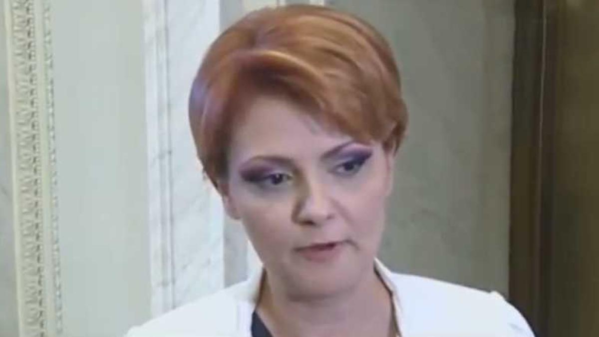 olguta_vasilescu_parl_14963300