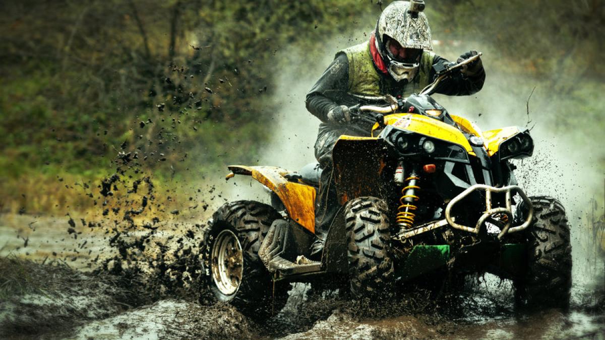 intrebari_comune_clienti_atv_20441400