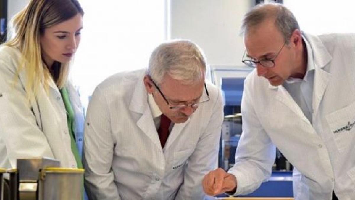 irina_2_610x300_62808100