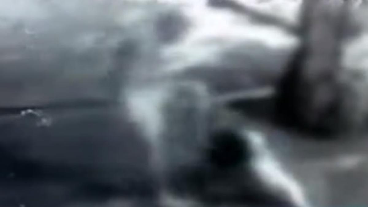 mama_batutaa_40185100