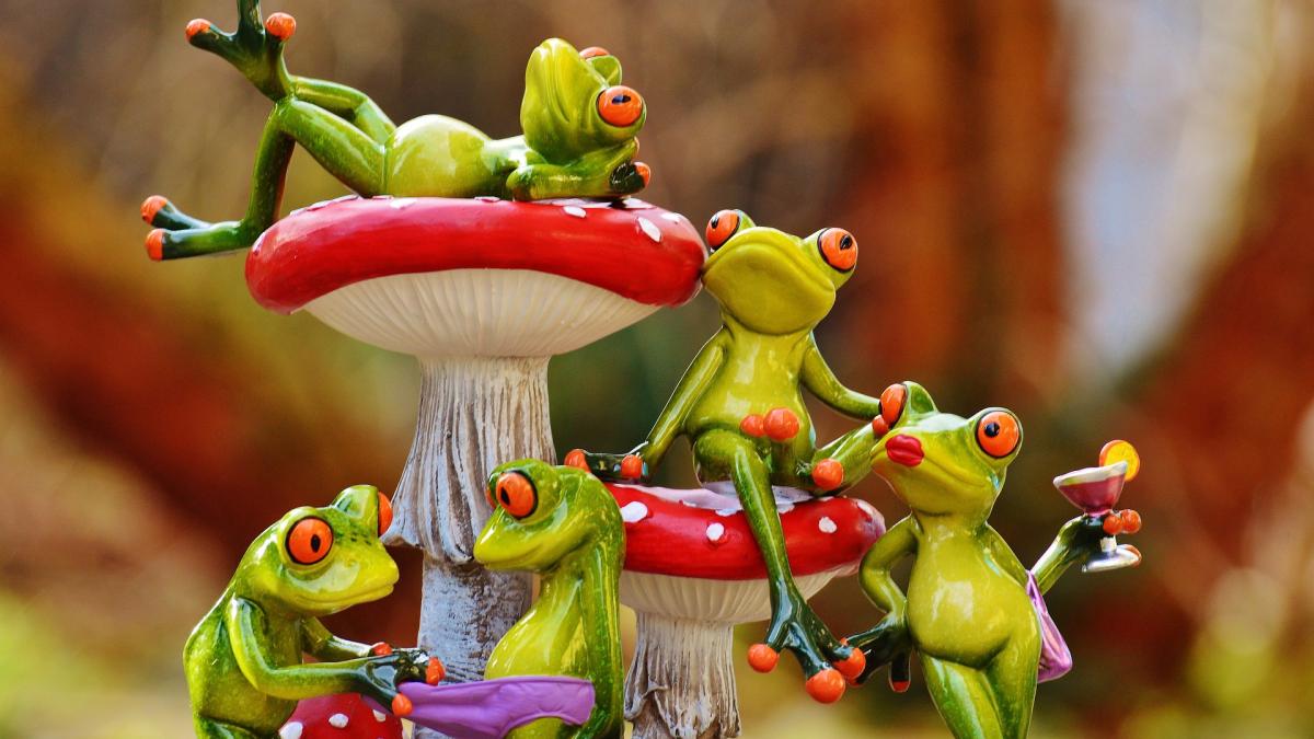 invidiosi_broaste_92615200