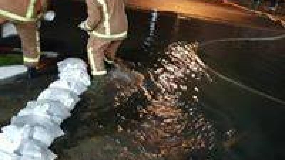 34800543_700865723577942_3781464592387932160_n_48803100