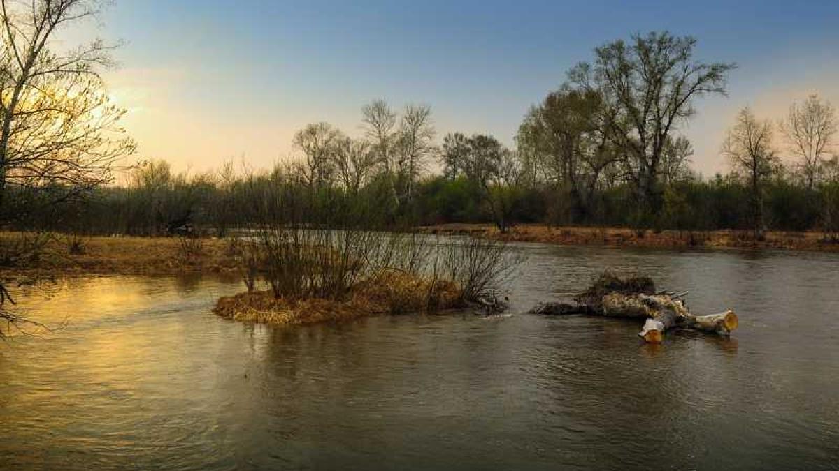 inundatii_rauri_50285200