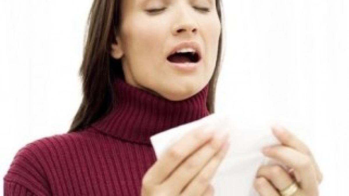 stranut_02_6f82d14854