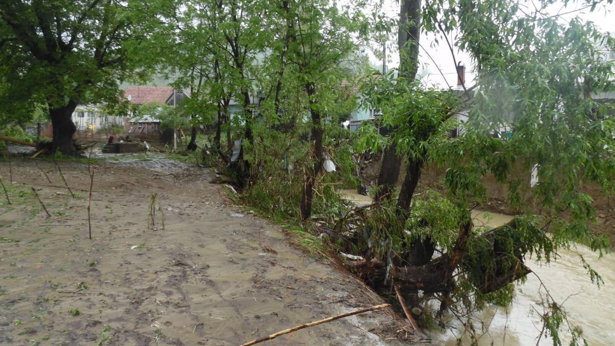 13268286_994644360657017_8899563930760898400_o_67162200