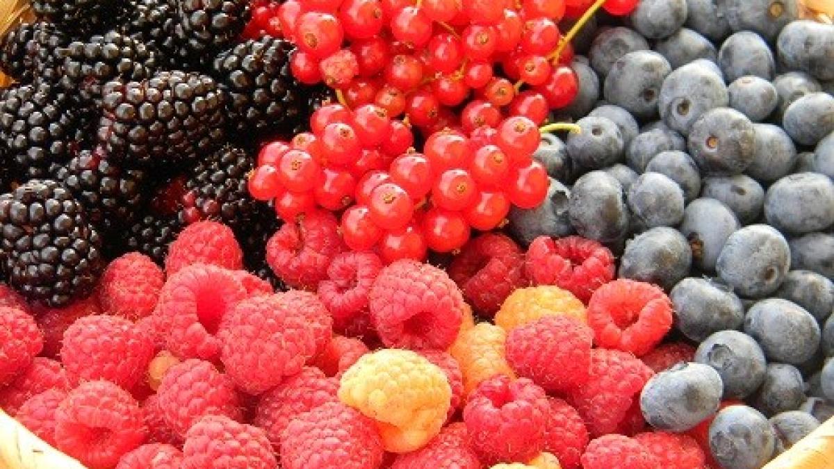 fructe_de_padure_23772400