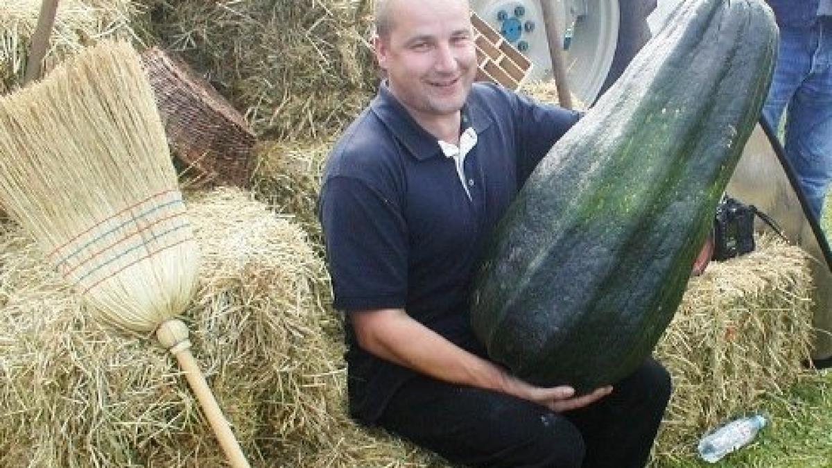 giant_cucumber_05_14804800