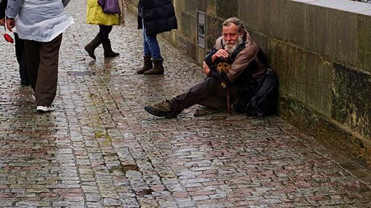 caine_cersetor_73433500