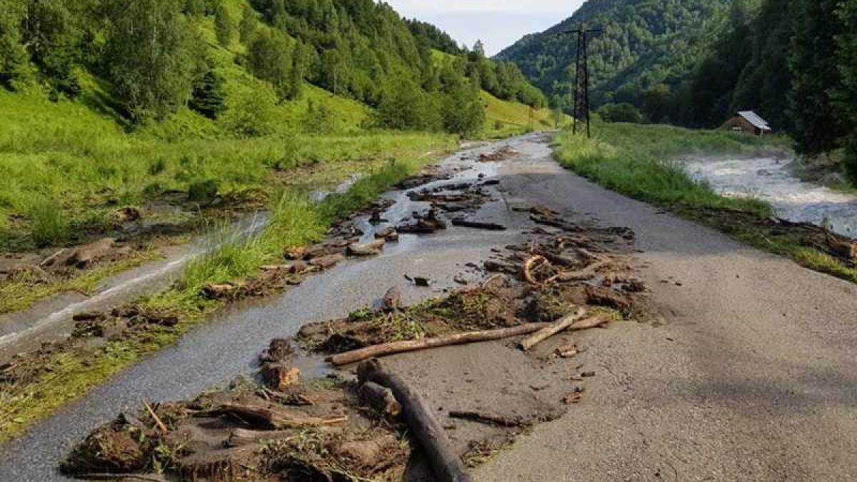 retezat_drum_distrus_poli_99088600