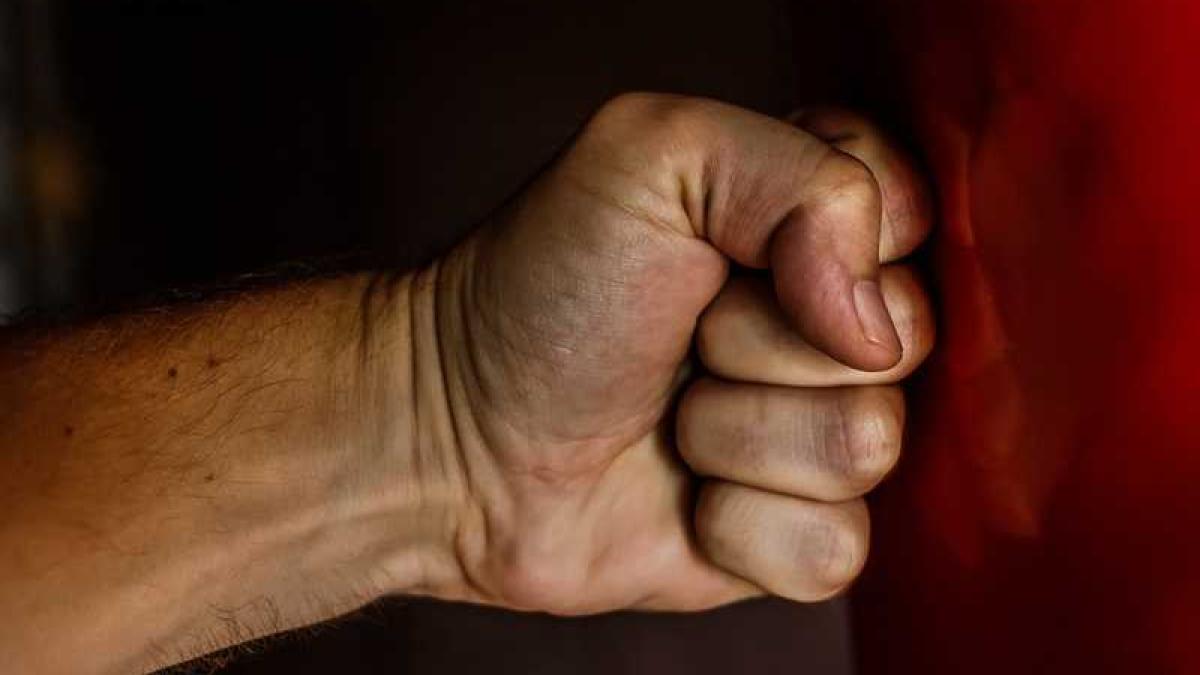 violenta_familie_24259100