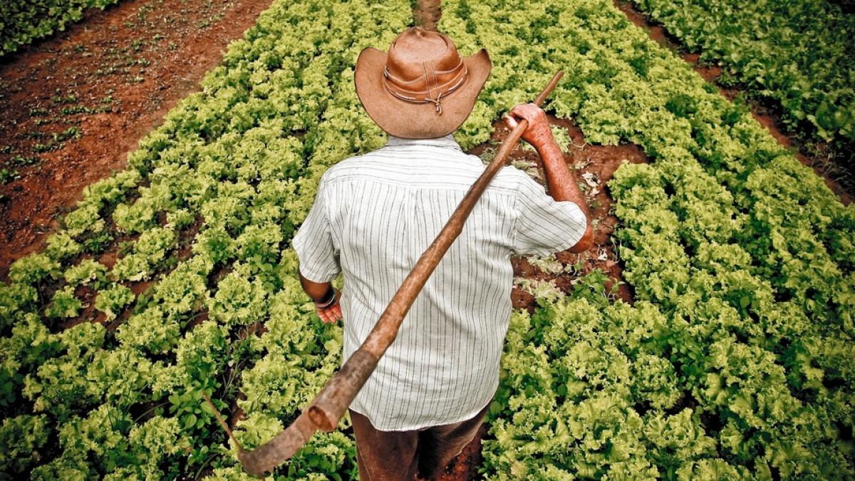 agricultura_no_sudeste_do_brasil_3_48968900