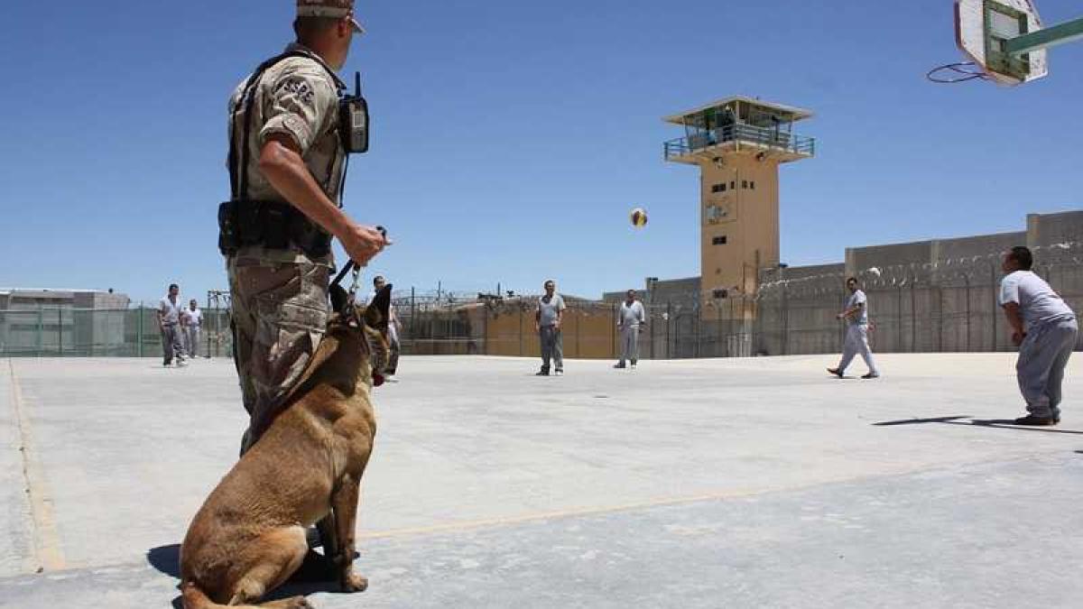 inchisoare_politist_caine_91031500