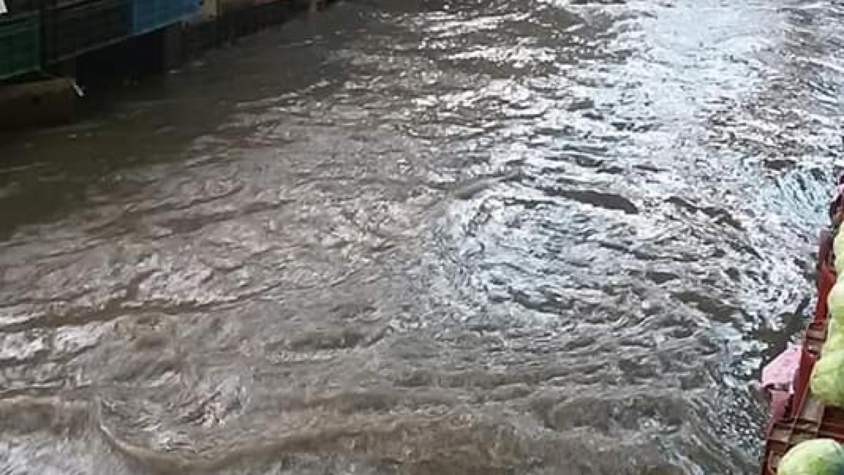 36262131_140786810131574_8710074838837886976_n_74575100