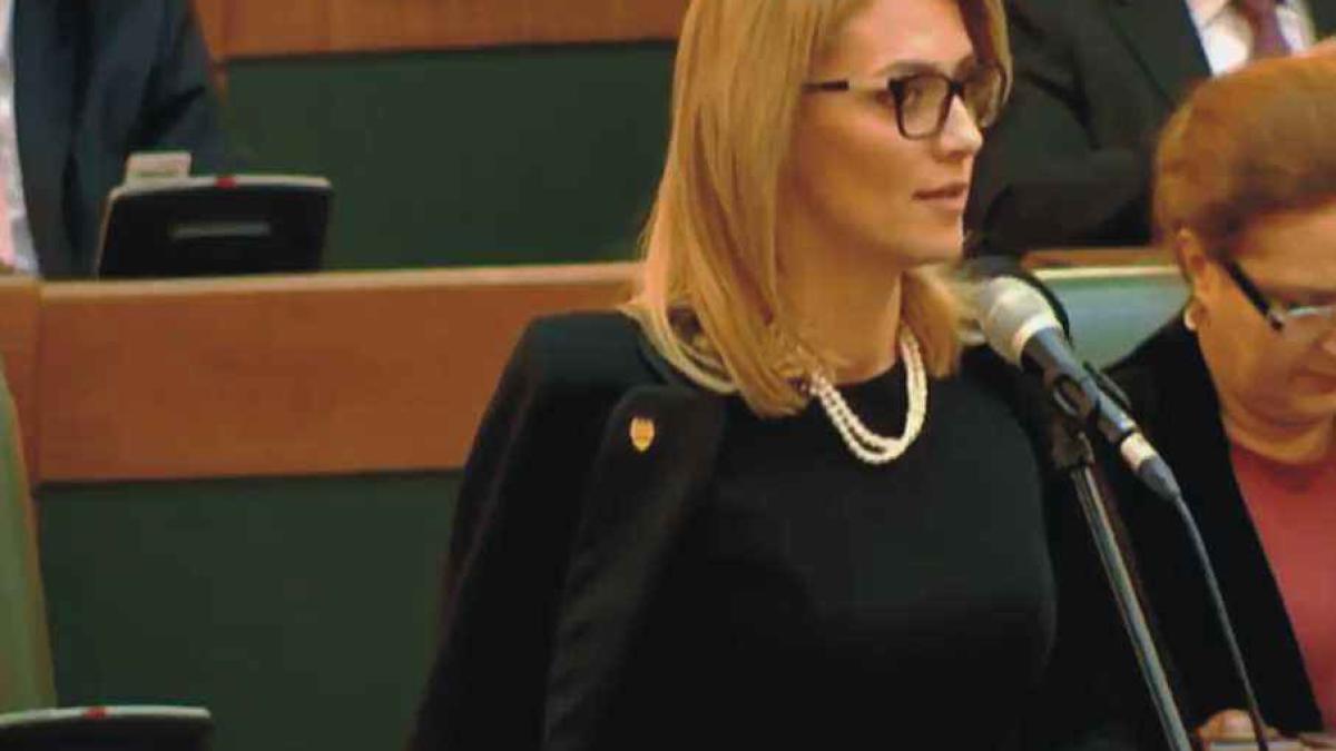 alina_gorghiu_senat2_81430400