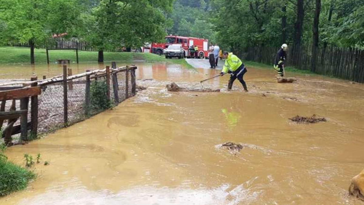 inundatii_igsu3_40148700