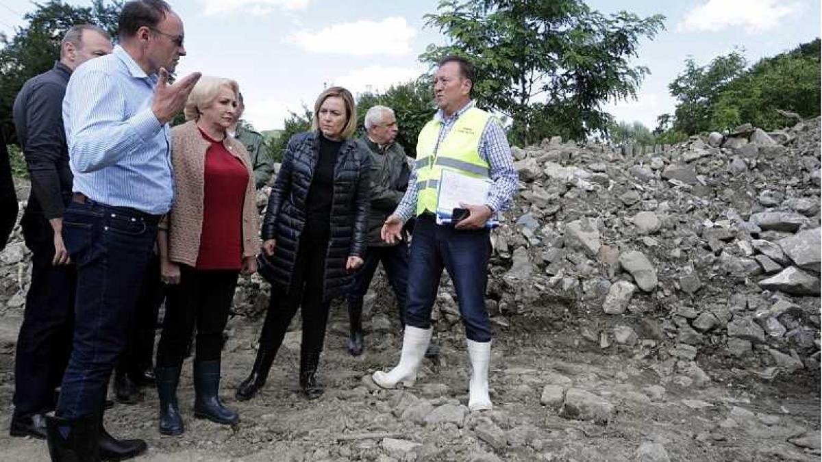 dancila_teren2_06929500