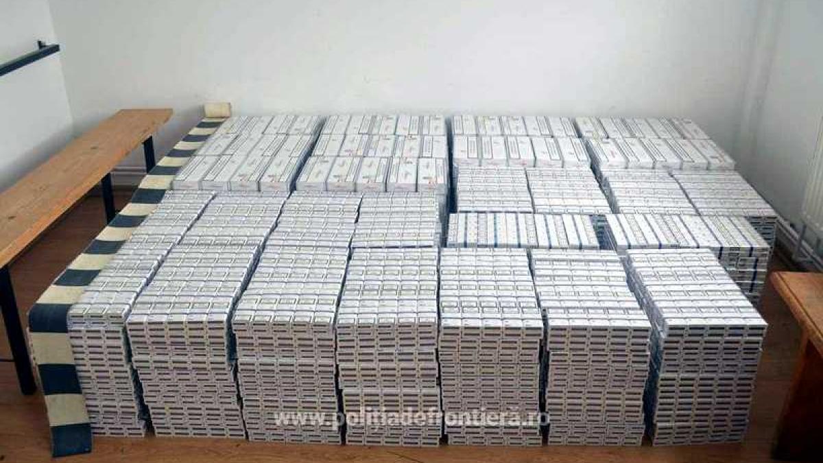 tigari_contrabanda_01_69627600