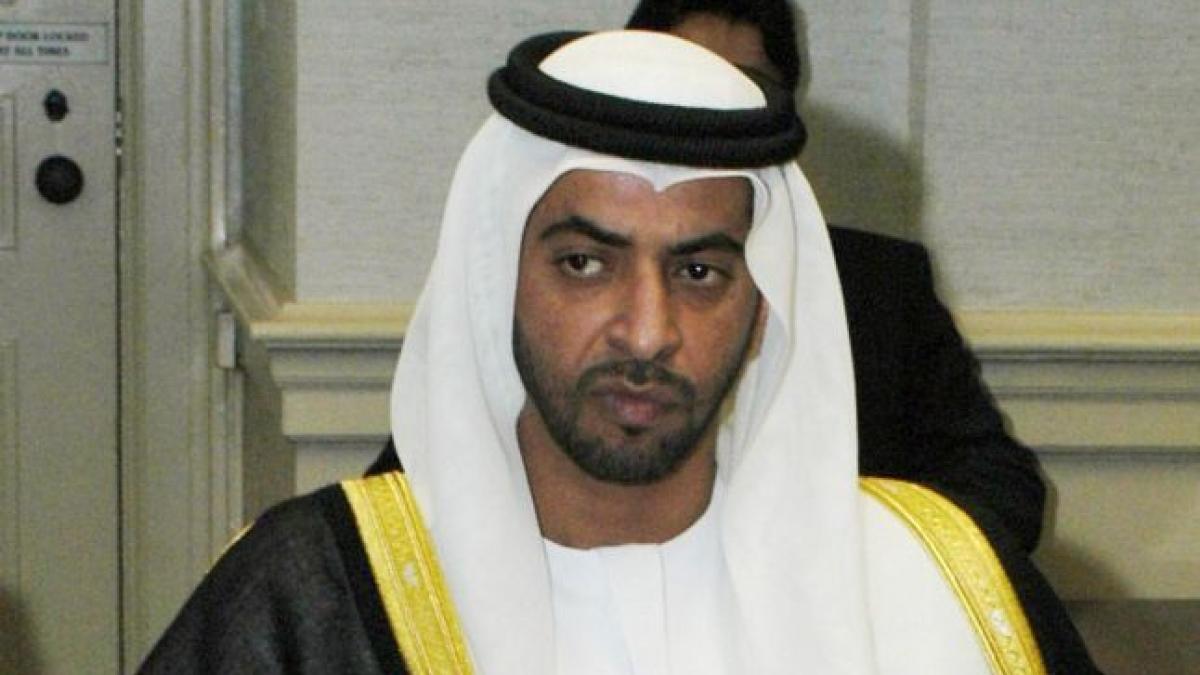 seic_insula_mare_a_brailei_51503800